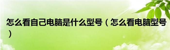 怎么看自己电脑是什么型号（怎么看电脑型号）