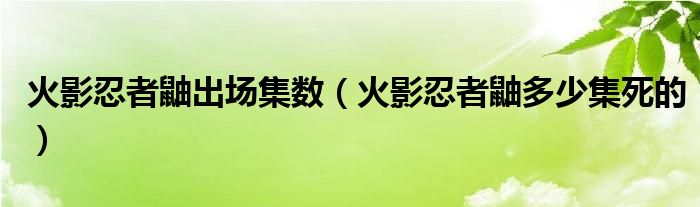 火影忍者鼬出场集数（火影忍者鼬多少集死的）