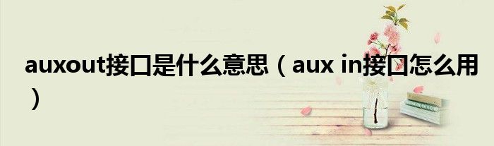 auxout接口是什么意思（aux in接口怎么用）