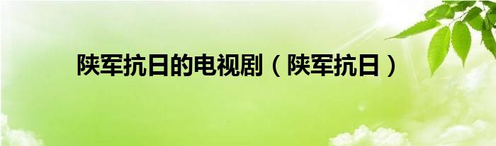 陕军抗日的电视剧（陕军抗日）