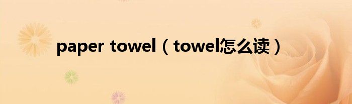 paper towel（towel怎么读）