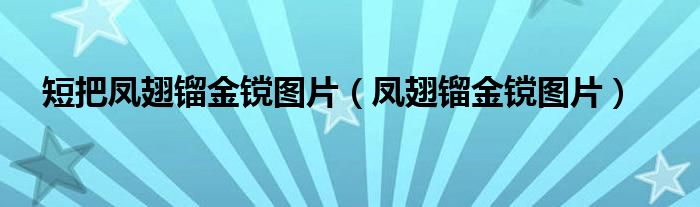 短把凤翅镏金镋图片（凤翅镏金镋图片）