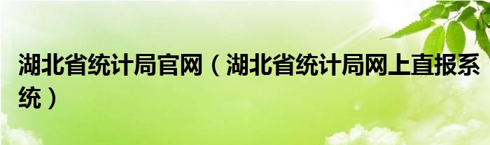 湖北省统计局官网（湖北省统计局网上直报系统）