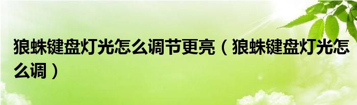 狼蛛键盘灯光怎么调节更亮（狼蛛键盘灯光怎么调）