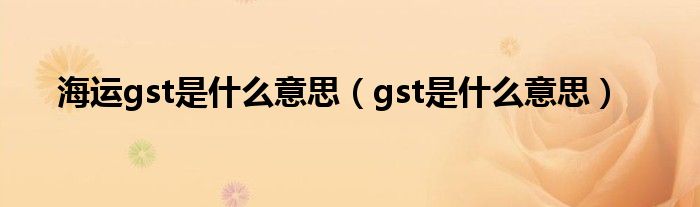 海运gst是什么意思（gst是什么意思）