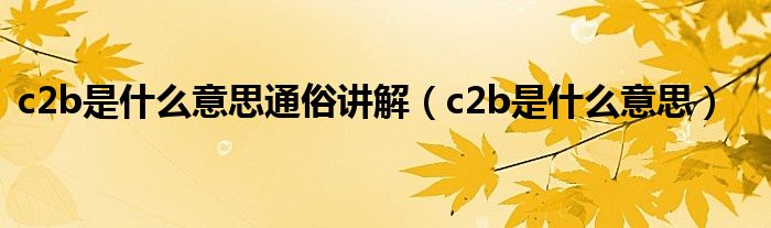 c2b是什么意思通俗讲解（c2b是什么意思）