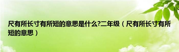 尺有所长寸有所短的意思是什么?二年级（尺有所长寸有所短的意思）