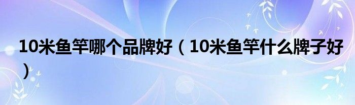 10米鱼竿哪个品牌好（10米鱼竿什么牌子好）