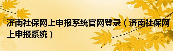 济南社保网上申报系统官网登录（济南社保网上申报系统）