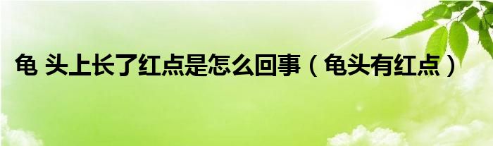 龟 头上长了红点是怎么回事（龟头有红点）