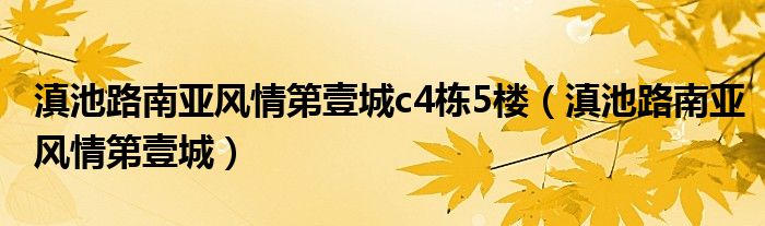 滇池路南亚风情第壹城c4栋5楼（滇池路南亚风情第壹城）