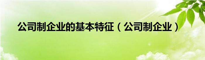 公司制企业的基本特征（公司制企业）