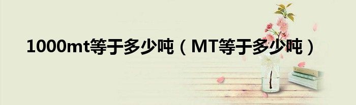 1000mt等于多少吨（MT等于多少吨）