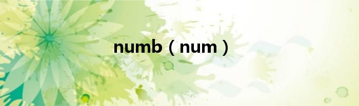 numb（num）