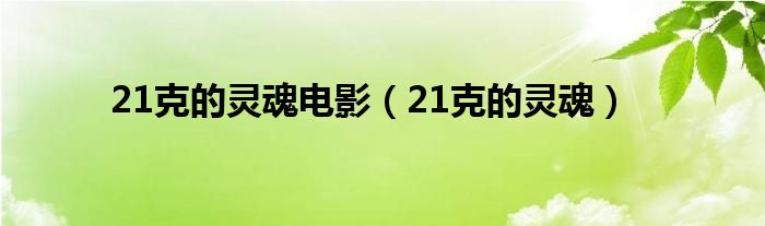 21克的灵魂电影（21克的灵魂）