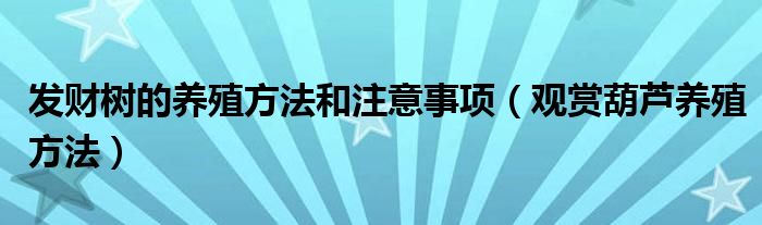 发财树的养殖方法和注意事项（观赏葫芦养殖方法）