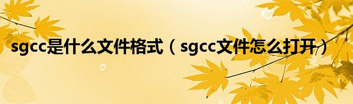 sgcc是什么文件格式（sgcc文件怎么打开）