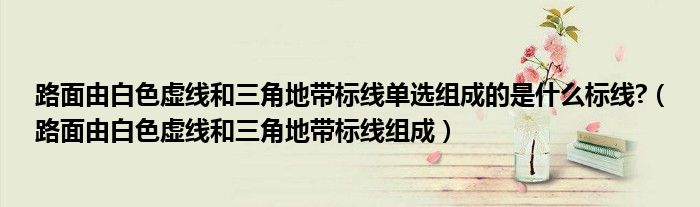 路面由白色虚线和三角地带标线单选组成的是什么标线?（路面由白色虚线和三角地带标线组成）