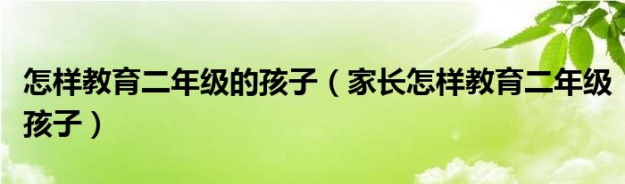 怎样教育二年级的孩子（家长怎样教育二年级孩子）