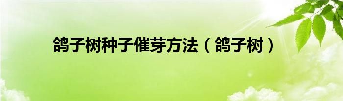 鸽子树种子催芽方法（鸽子树）