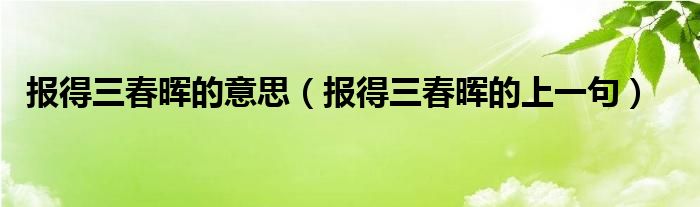 报得三春晖的意思（报得三春晖的上一句）