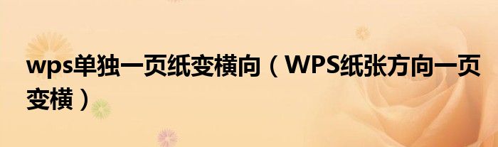 wps单独一页纸变横向（WPS纸张方向一页变横）