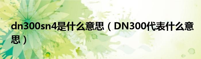 dn300sn4是什么意思（DN300代表什么意思）