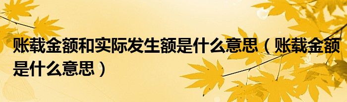 账载金额和实际发生额是什么意思（账载金额是什么意思）