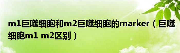 m1巨噬细胞和m2巨噬细胞的marker（巨噬细胞m1 m2区别）