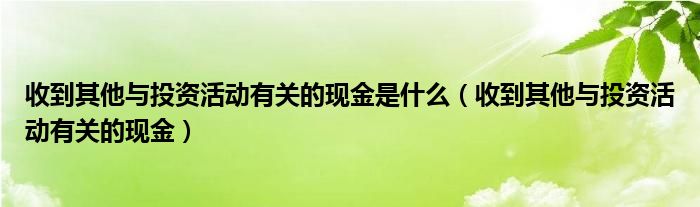 收到其他与投资活动有关的现金是什么（收到其他与投资活动有关的现金）