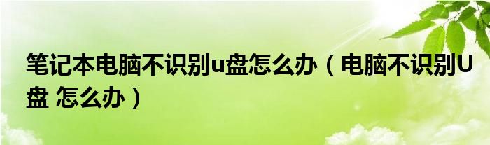 笔记本电脑不识别u盘怎么办（电脑不识别U盘 怎么办）