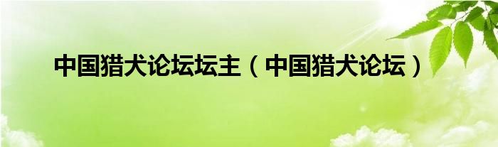 中国猎犬论坛坛主（中国猎犬论坛）