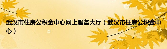 武汉市住房公积金中心网上服务大厅（武汉市住房公积金中心）