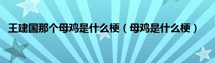 王建国那个母鸡是什么梗（母鸡是什么梗）