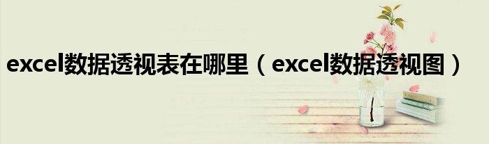 excel数据透视表在哪里（excel数据透视图）