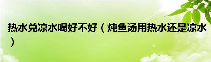 热水兑凉水喝好不好（炖鱼汤用热水还是凉水）