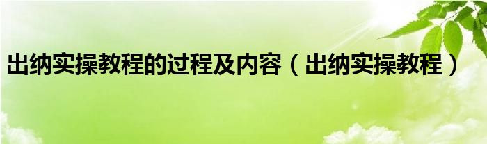 出纳实操教程的过程及内容（出纳实操教程）