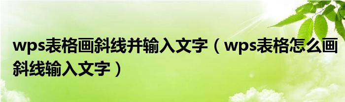 wps表格画斜线并输入文字（wps表格怎么画斜线输入文字）