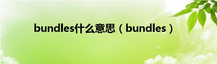 bundles什么意思（bundles）