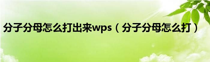 分子分母怎么打出来wps（分子分母怎么打）