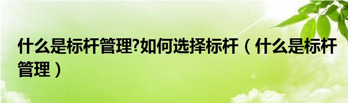 什么是标杆管理?如何选择标杆（什么是标杆管理）