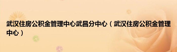 武汉住房公积金管理中心武昌分中心（武汉住房公积金管理中心）