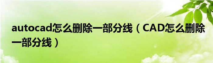 autocad怎么删除一部分线（CAD怎么删除一部分线）