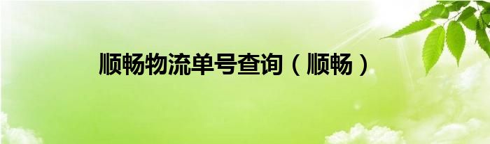 顺畅物流单号查询（顺畅）