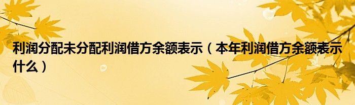 利润分配未分配利润借方余额表示（本年利润借方余额表示什么）