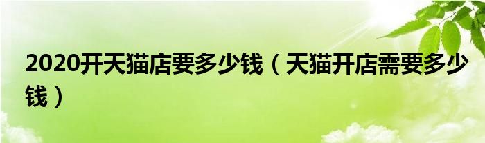 2020开天猫店要多少钱（天猫开店需要多少钱）