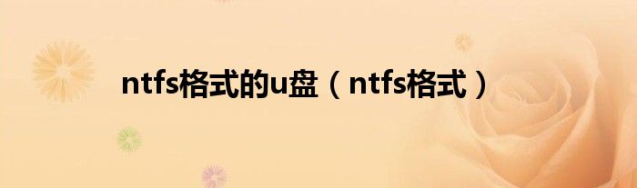 ntfs格式的u盘（ntfs格式）