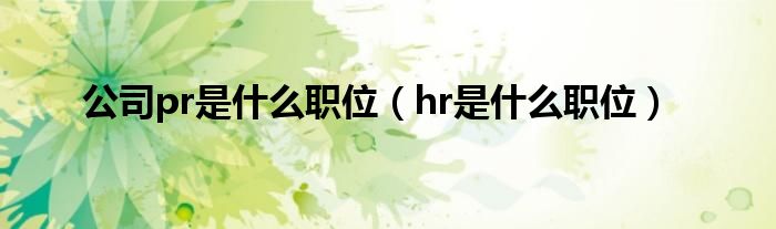 公司pr是什么职位（hr是什么职位）