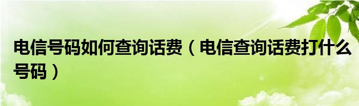 电信号码如何查询话费（电信查询话费打什么号码）