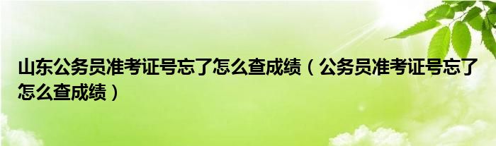 山东公务员准考证号忘了怎么查成绩（公务员准考证号忘了怎么查成绩）